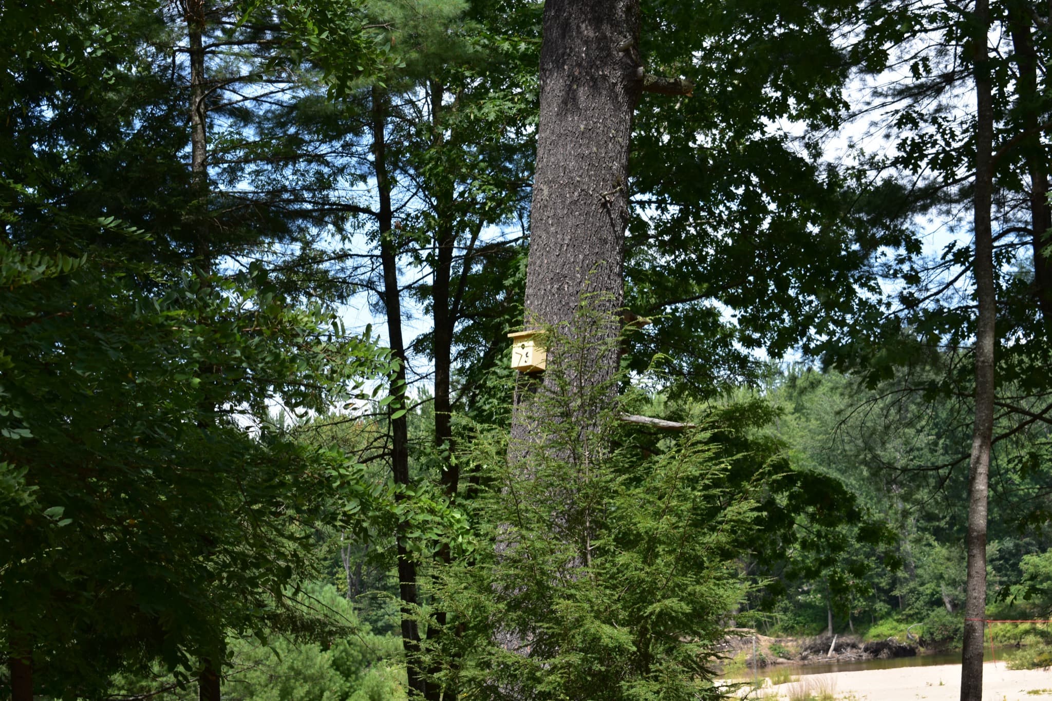 Campsite 6 at Canal Bridge