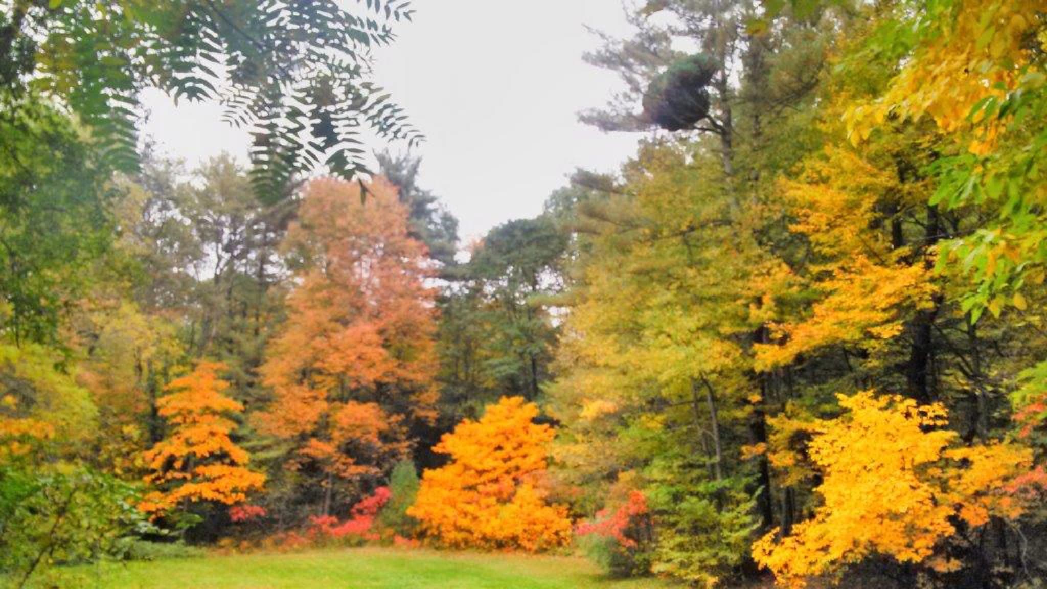 Long Lake Outdoor Center