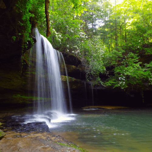 Sipsey Wilderness Trails
