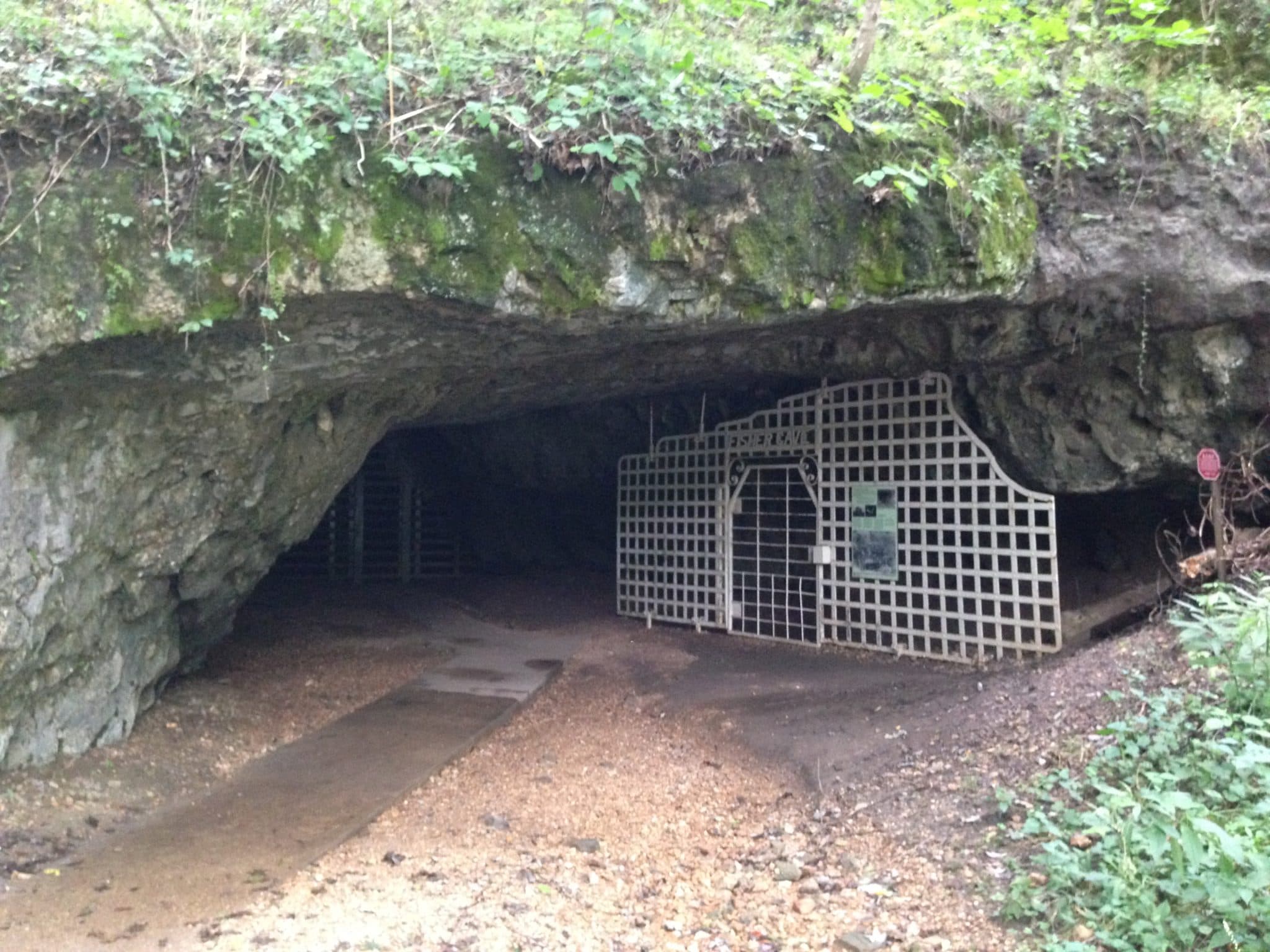 Gated entrance to Fisher Cave at Meramec State Park