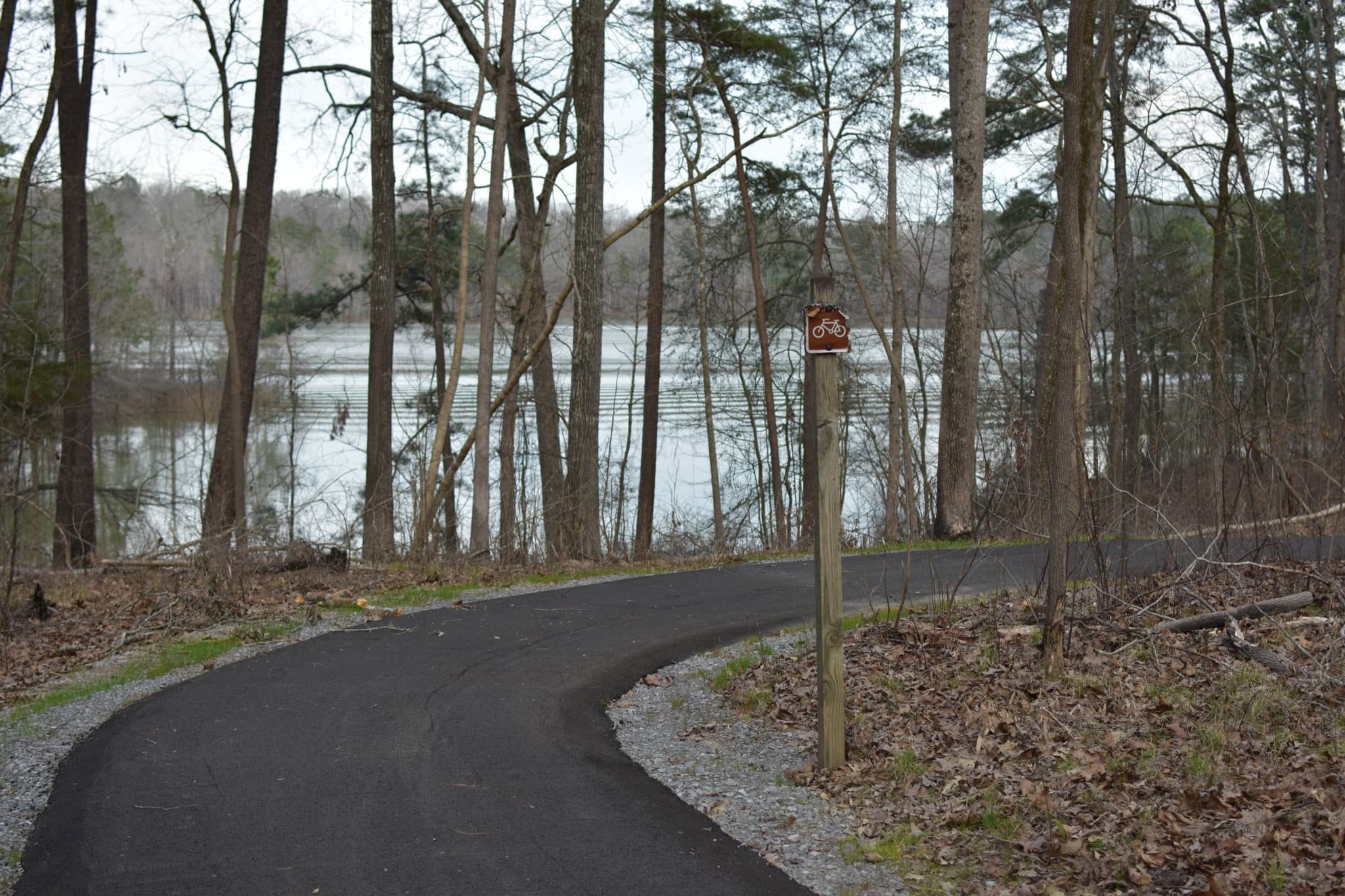 Bankhead National Forest