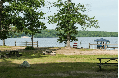 Lakefront view with picnic tables