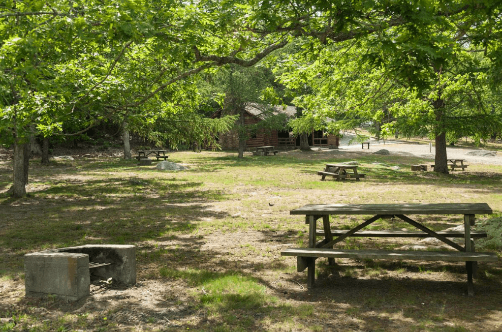 Picnic area with tables under trees