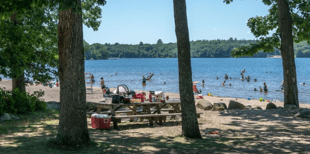 Swimmers at Watchaug Pond beach