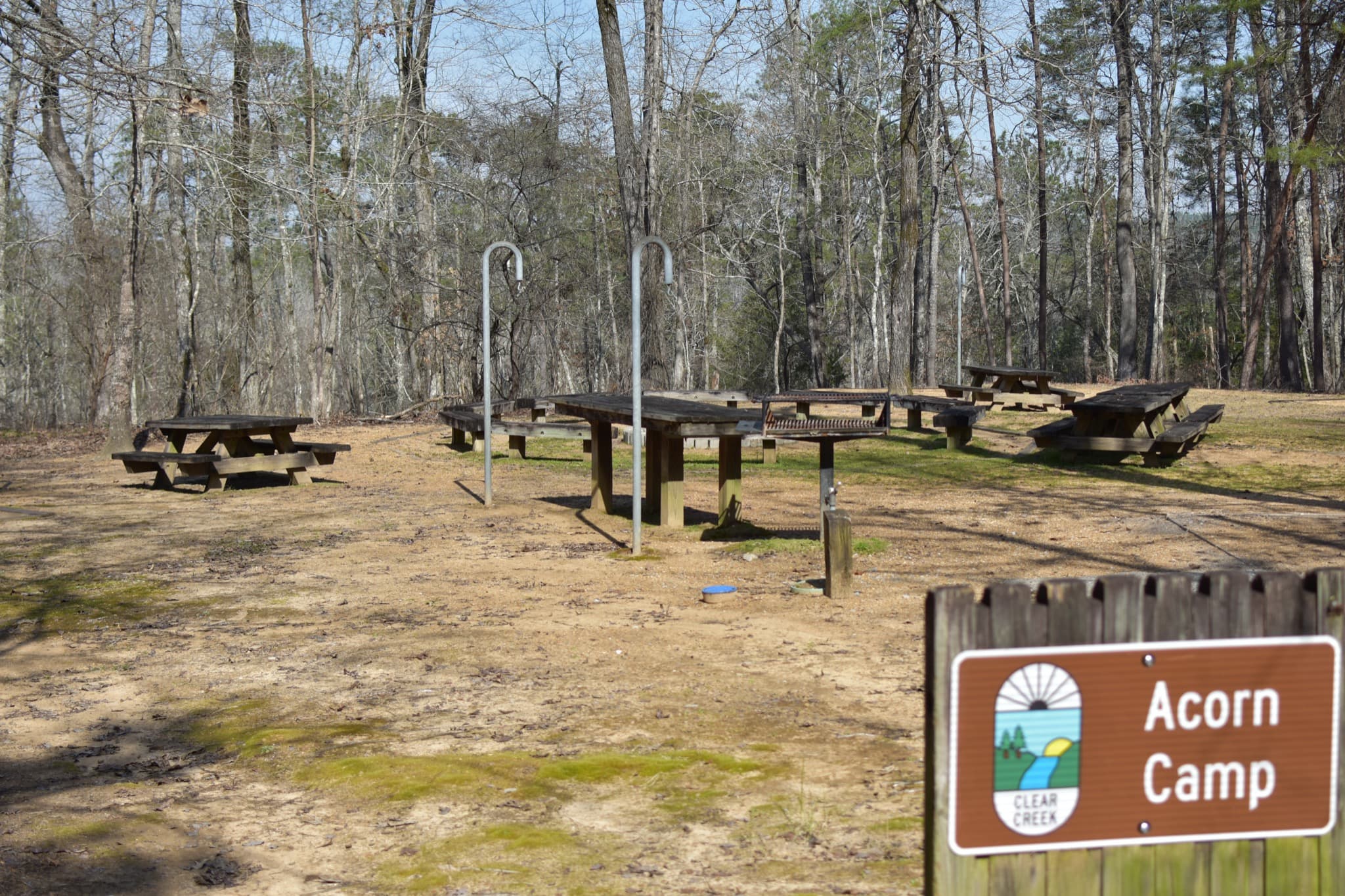 Picnic tables at Acorn Camp, a Clear Creek group camping area