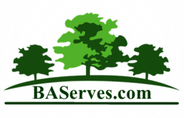 BA Services
