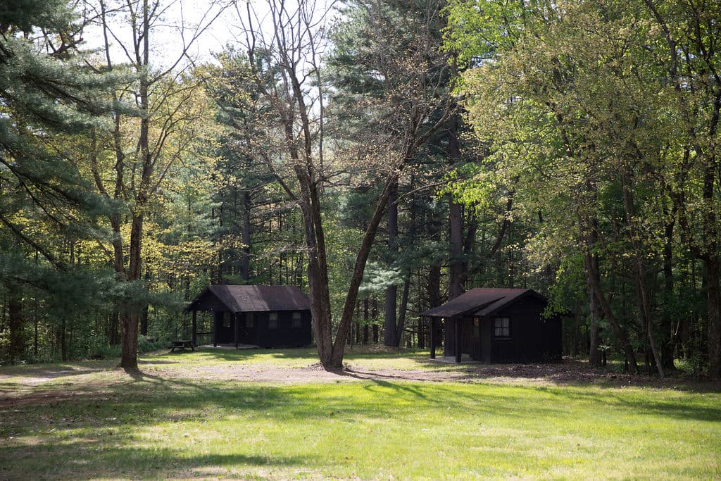 Two CCC-built cabins on a sunny lawn among tall pines