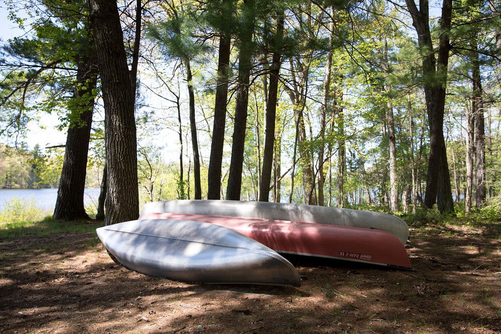 Canoes resting upside down under the pines by the lake