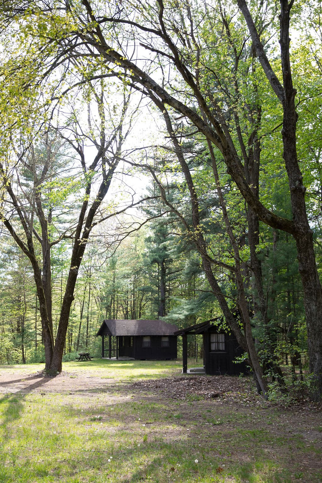 A CCC-built cabin among the pines