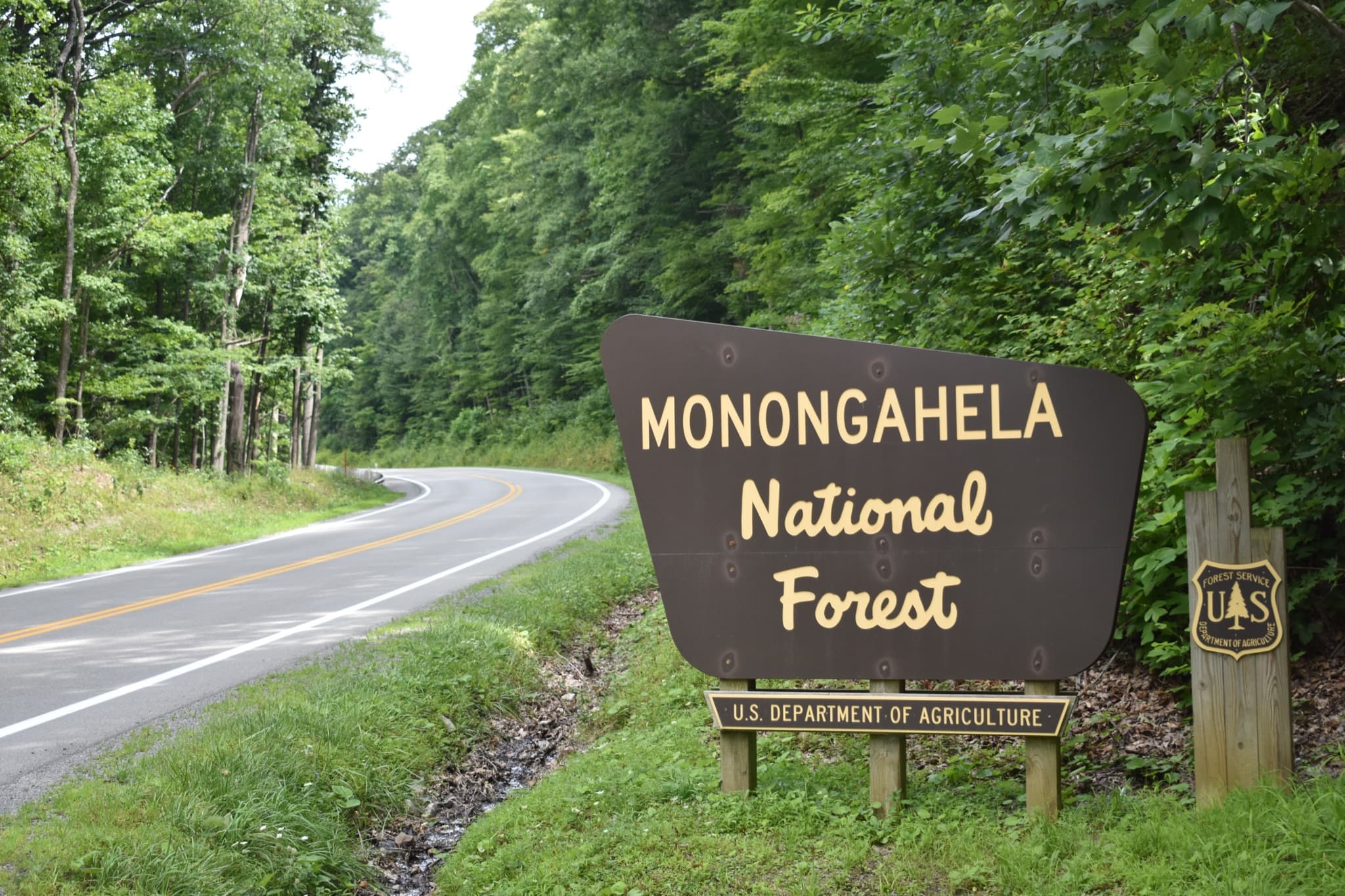 Monongahela National Forest