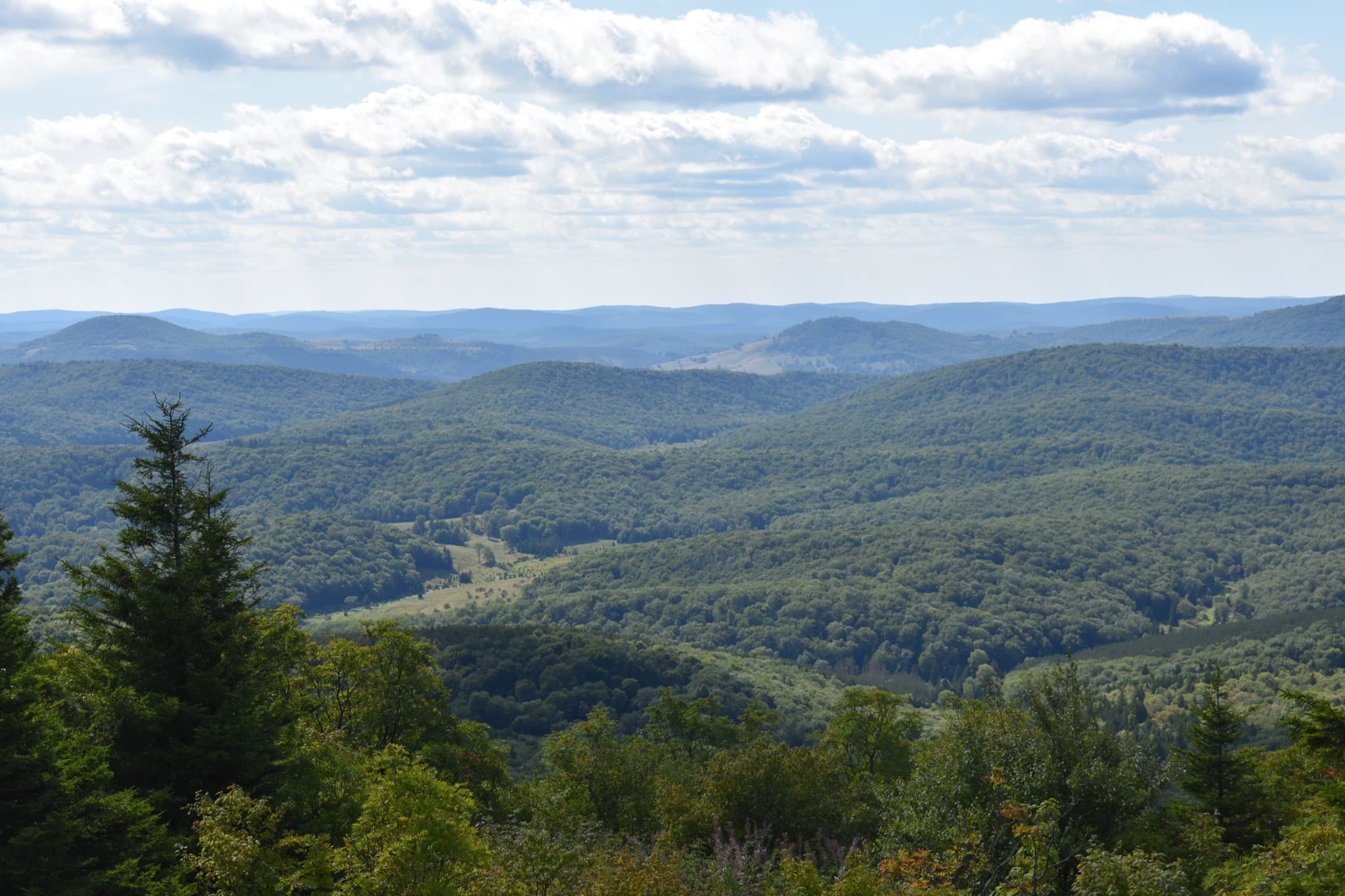 Monongahela National Forest